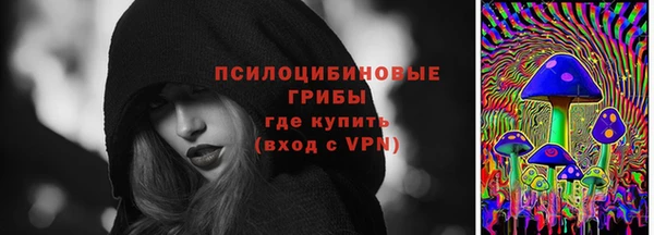 гидропоника Белокуриха