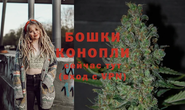 гидропоника Белокуриха
