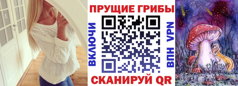 Галлюциногенные грибы мицелий  Елизово 